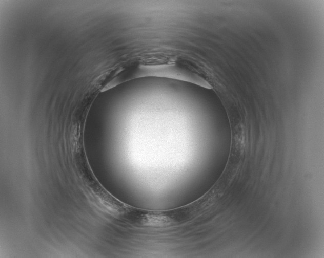 X0000078310605200611172217