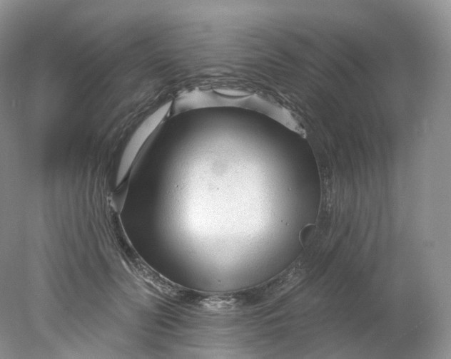 X0000078310606200611172216