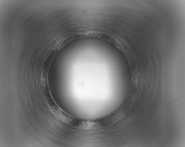 X0000078310607200611172216