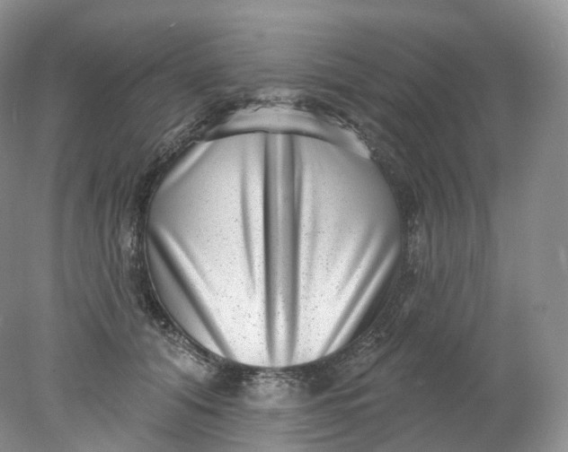 X0000078310608200611172216