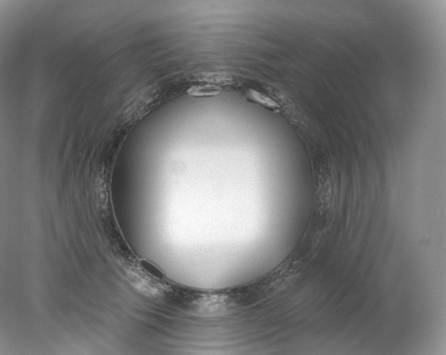 X0000078310609200611172216