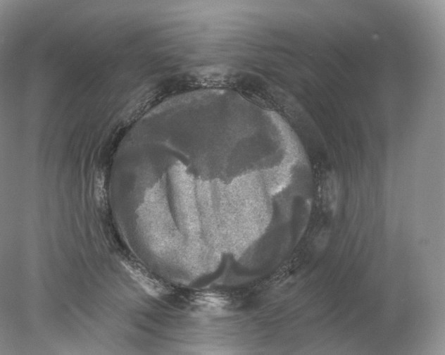 X0000078310610200611172216