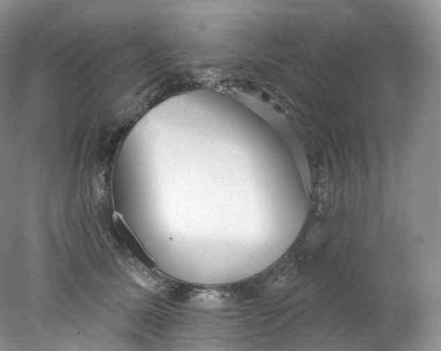 X0000078310611200611172216