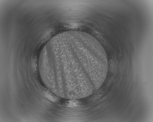 X0000078310612200611172216