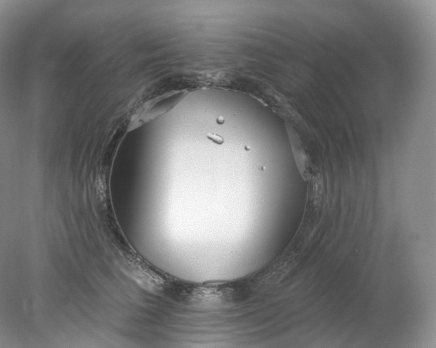 X0000078310613200611172216