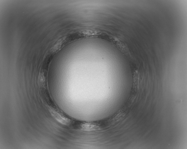 X0000078310614200611172216