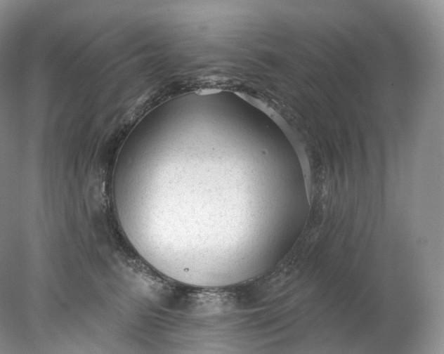 X0000078310615200611172216