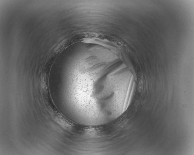 X0000078310616200611172216