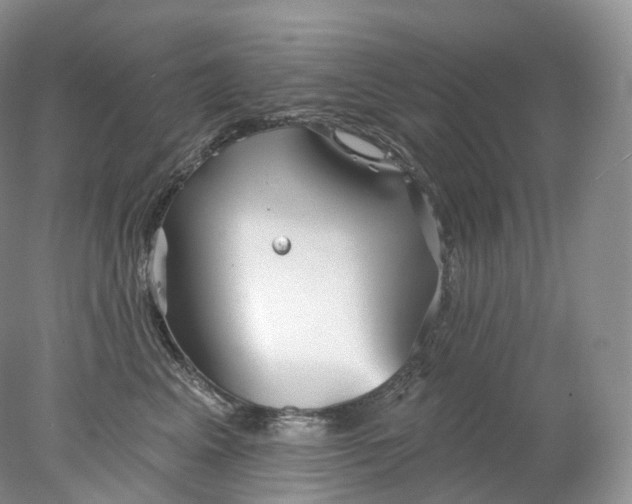 X0000078310617200611172216