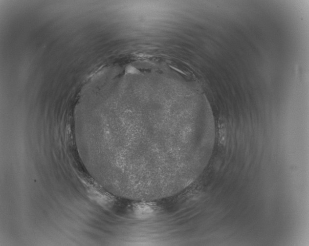 X0000078310618200611172216