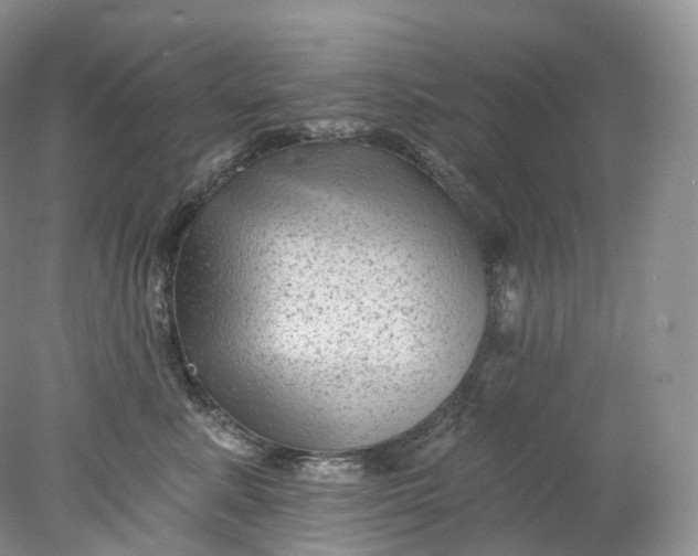 X0000078310619200611172216