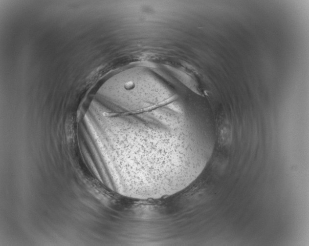 X0000078310620200611172216