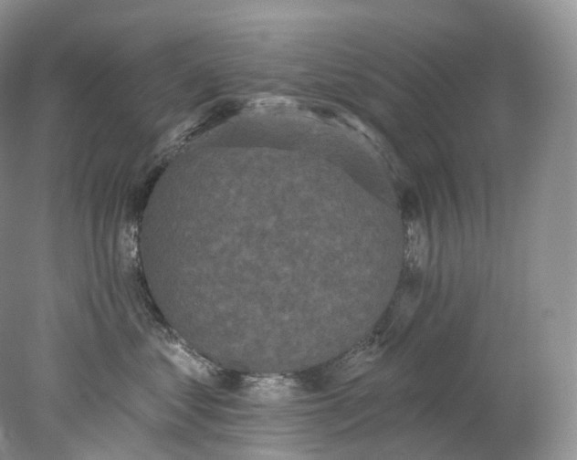 X0000078310621200611172216