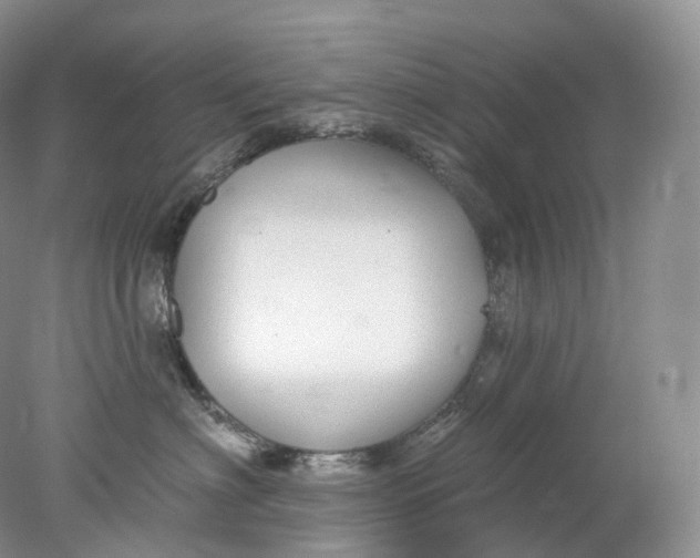 X0000078310622200611172216