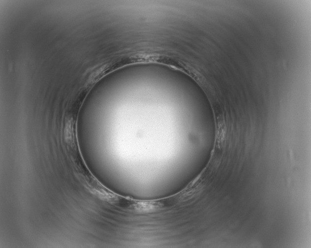 X0000078310623200611172216