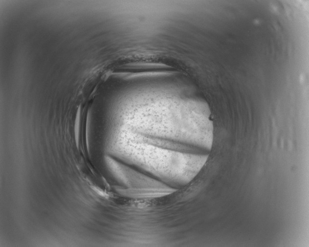 X0000078310624200611172216