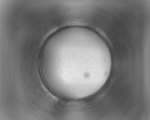 X0000078310625200611172215