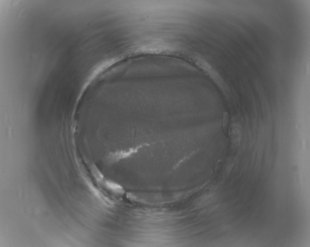 X0000078310626200611172215