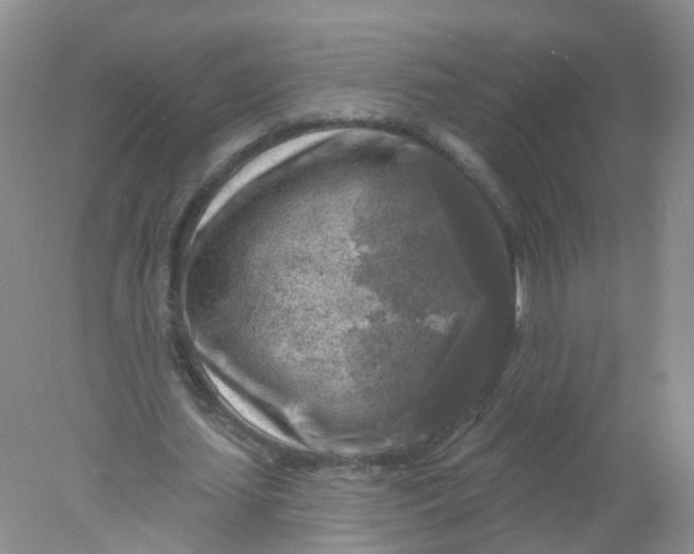 X0000078310627200611172215