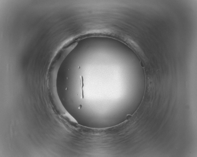 X0000078310628200611172215