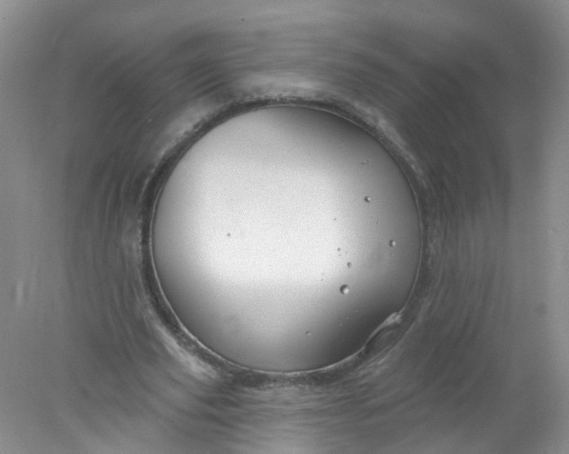 X0000078310629200611172215