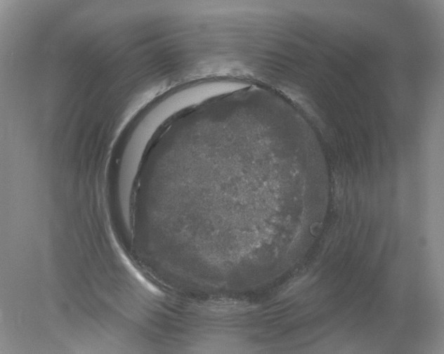 X0000078310630200611172215