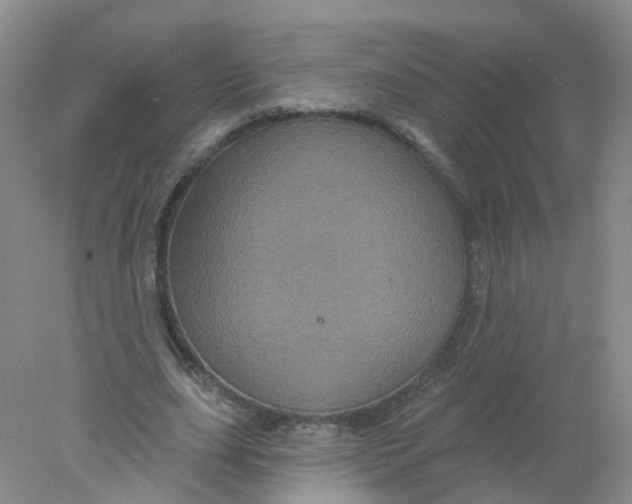 X0000078310631200611172215