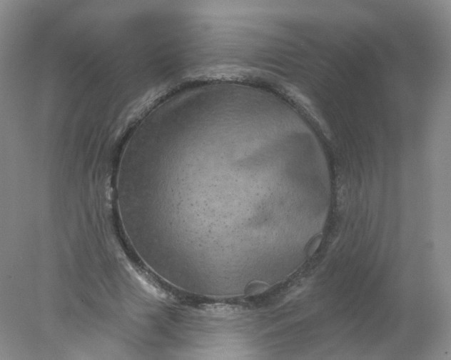 X0000078310633200611172216