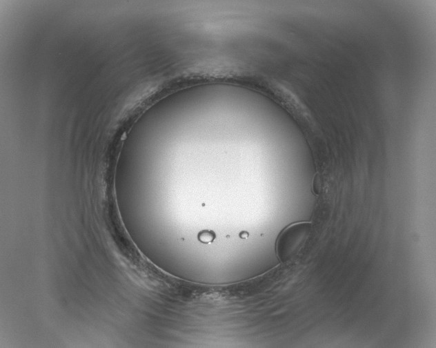 X0000078310635200611172216