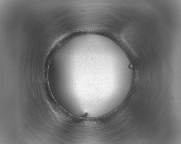 X0000078310636200611172216