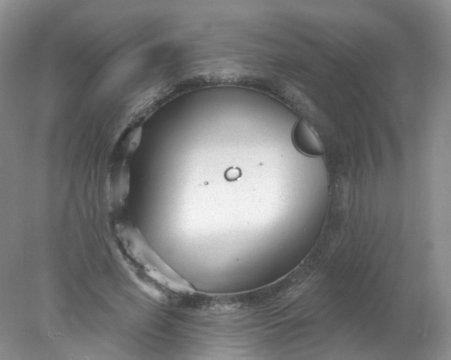 X0000078310638200611172216