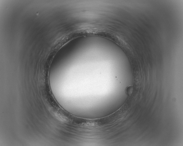 X0000078310639200611172216