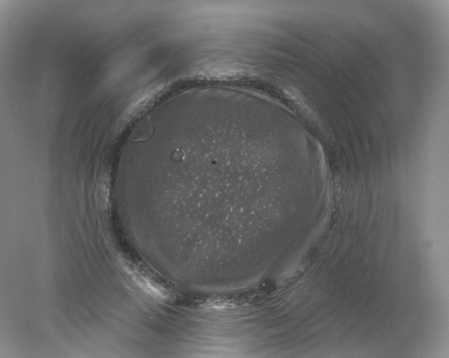 X0000078310640200611172216