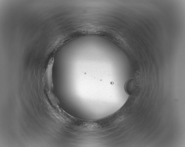 X0000078310642200611172216