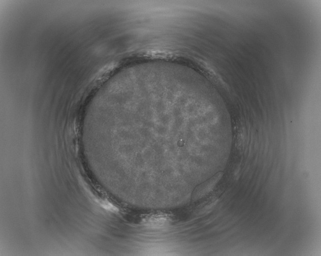 X0000078310643200611172216