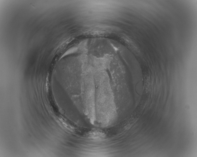 X0000078310644200611172216