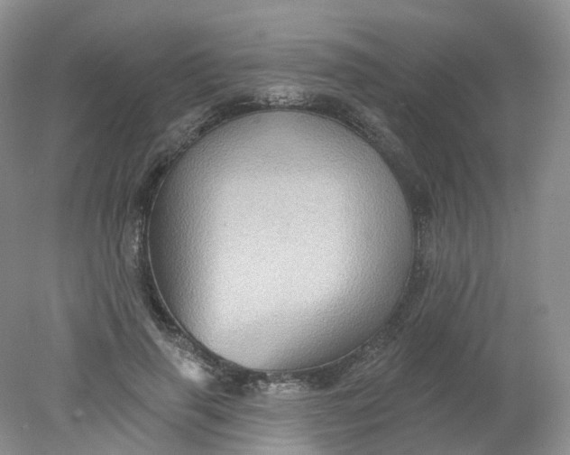 X0000078310645200611172216