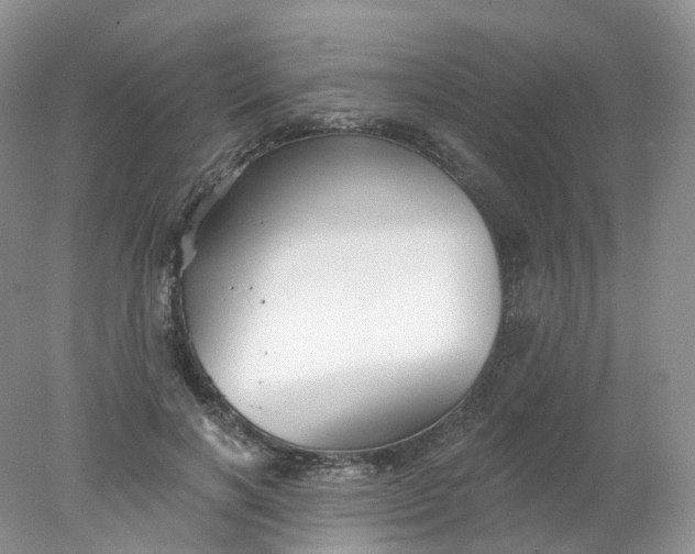 X0000078310646200611172216