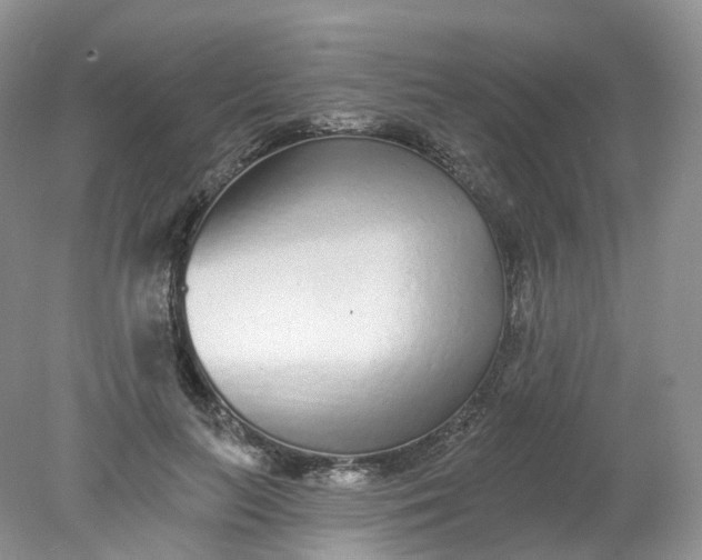 X0000078310647200611172216