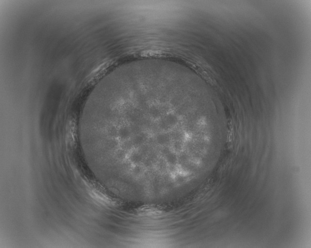 X0000078310648200611172216