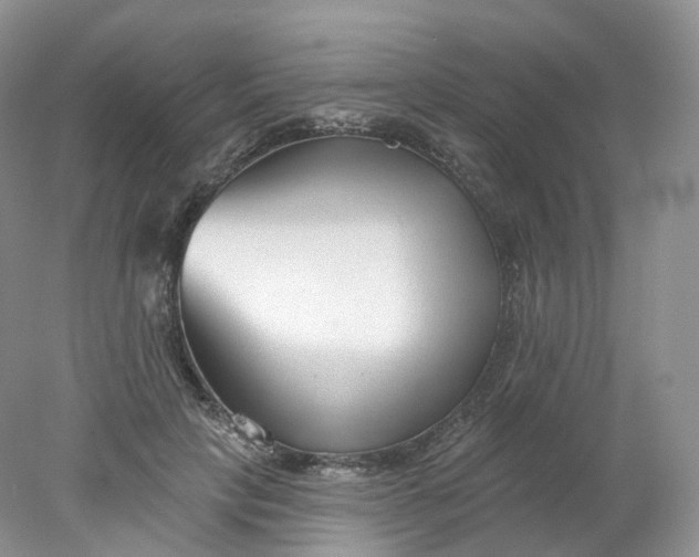 X0000078310649200611172216