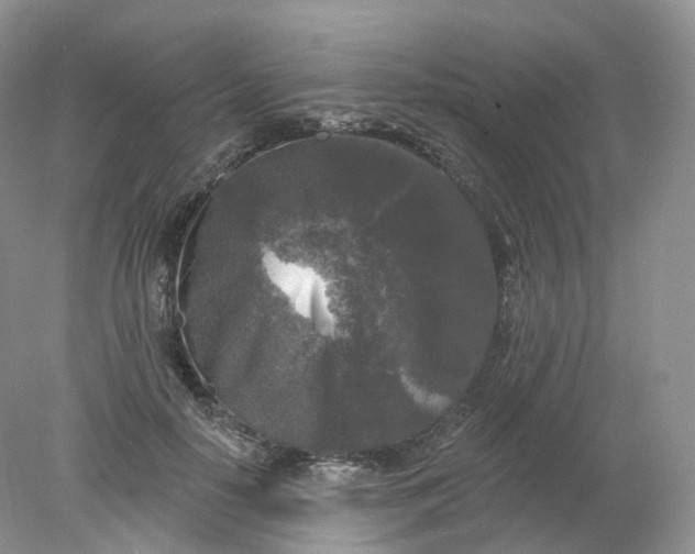 X0000078310650200611172216