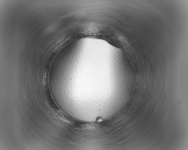 X0000078310652200611172216