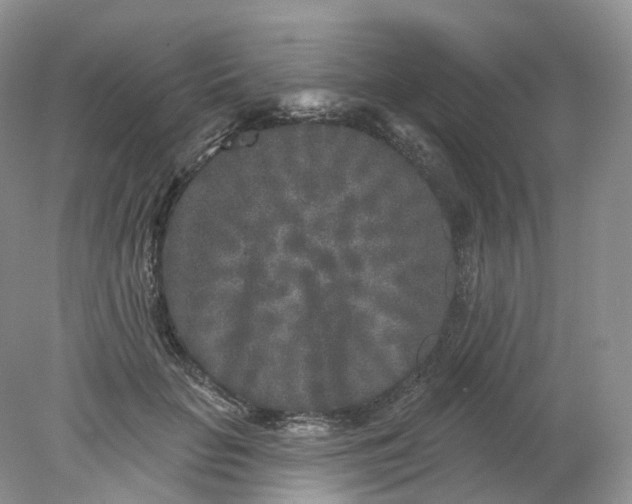 X0000078310653200611172216