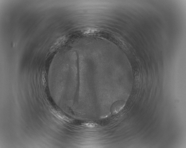 X0000078310654200611172216