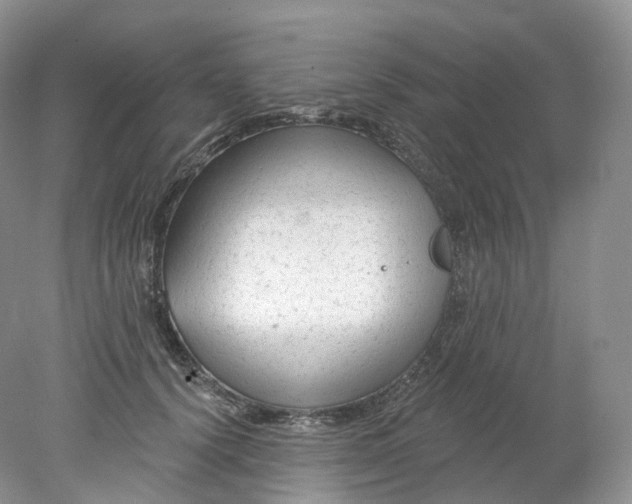 X0000078310656200611172216