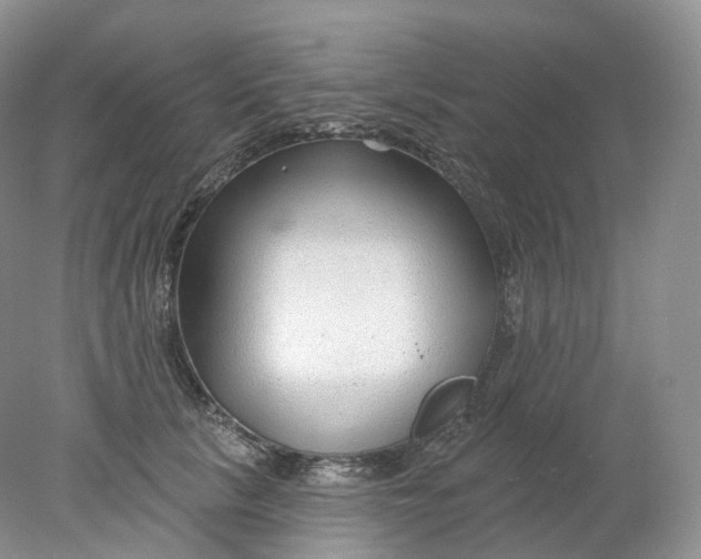 X0000078310657200611172216