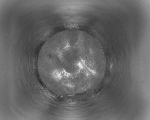 X0000078310658200611172216