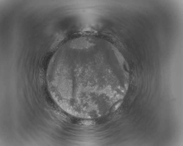 X0000078310659200611172216