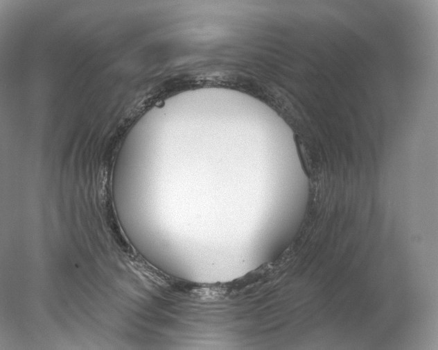 X0000078310660200611172216